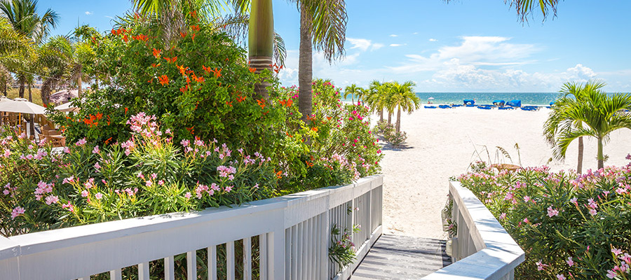 Boardwalk to a beach in St. Pete, Florida