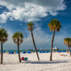 Palm trees on the beach in Clearwater Beach, Florida