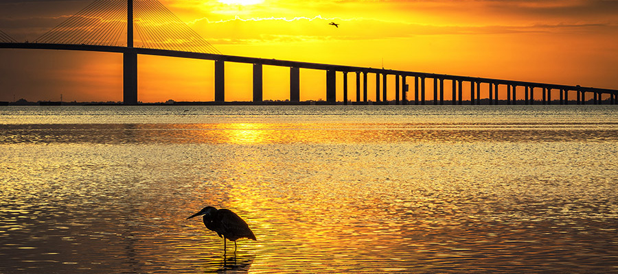 Tampa Bridge